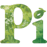 Pi logo - ai assistants & chatbots AI tool in 2026