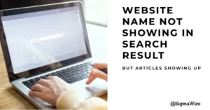 website name is not showing in search result