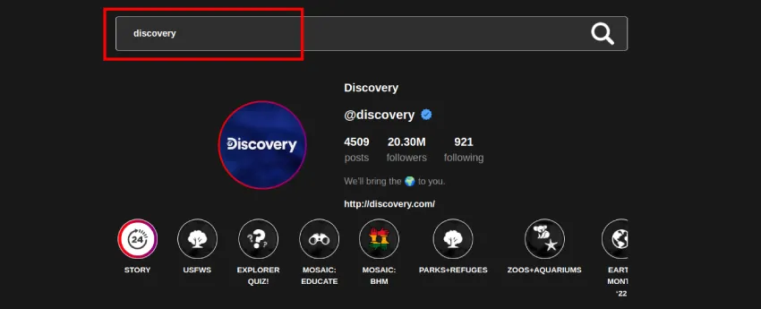 How to Use iGanony: Some Best Alternatives 2 searching discovery chanel in aganony instagram story viewer