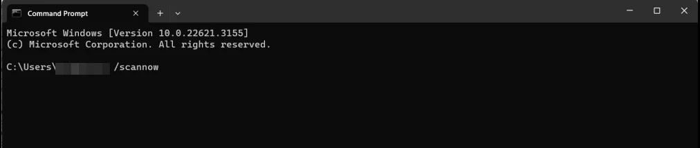 Fix Windows 10 & 11 Blue Screen of Death Issue in 2 Minutes 8 scannow