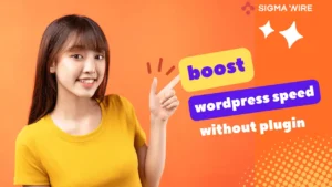 Wordpress Website Speed Without Plugin