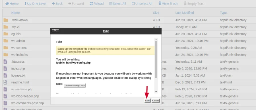 How to Fix? Wordpress Redirected You Too Many Times 6 final clicking on edit button