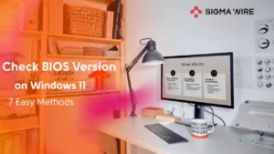 how to check bios version windows 11